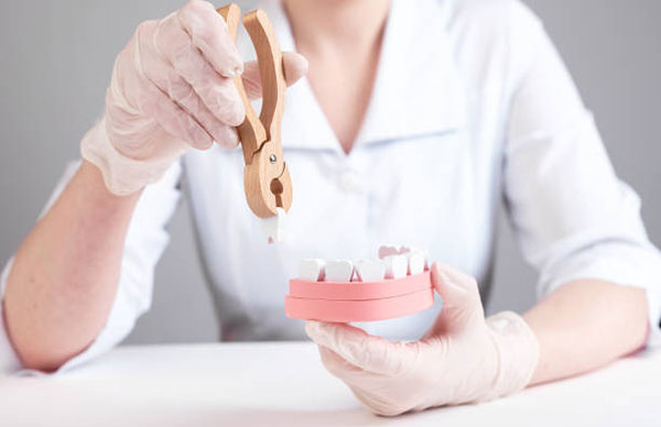 a woman holding a jaw model with a tooth in hand