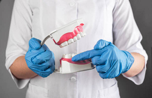 wisdom tooth model